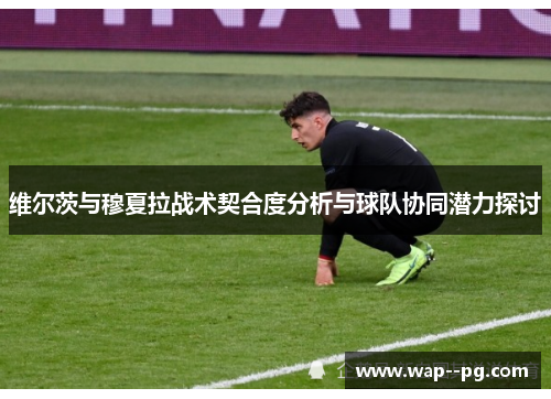 维尔茨与穆夏拉战术契合度分析与球队协同潜力探讨