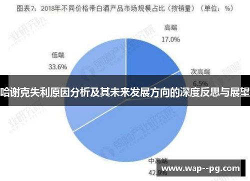 哈谢克失利原因分析及其未来发展方向的深度反思与展望 哈谢克失利原因分析及其未来发展方向的深度反思与展望