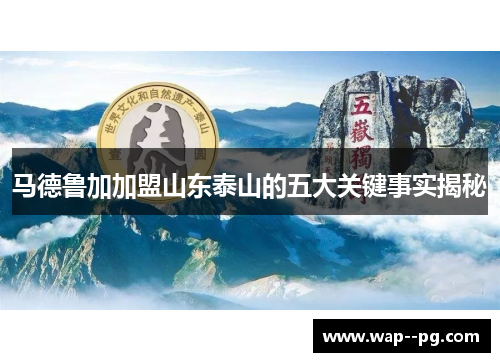 马德鲁加加盟山东泰山的五大关键事实揭秘