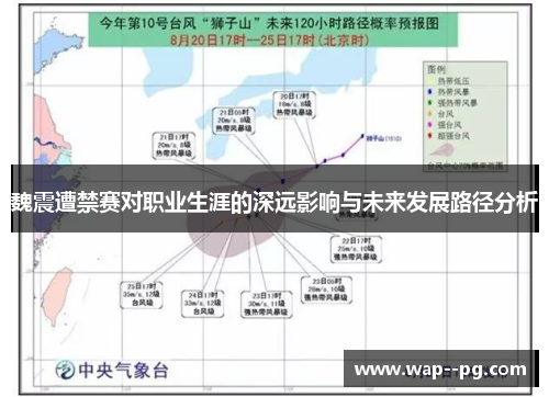 魏震遭禁赛对职业生涯的深远影响与未来发展路径分析