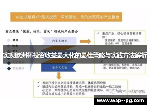实现欧洲杯投资收益最大化的最佳策略与实践方法解析 实现欧洲杯投资收益最大化的最佳策略与实践方法解析