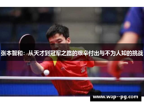 张本智和：从天才到冠军之路的艰辛付出与不为人知的挑战
