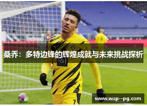 桑乔：多特边锋的辉煌成就与未来挑战探析