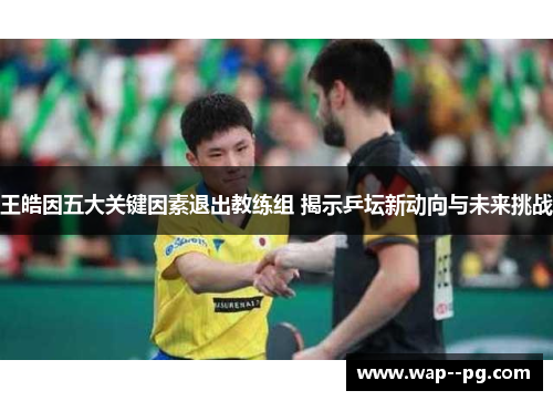 王皓因五大关键因素退出教练组 揭示乒坛新动向与未来挑战