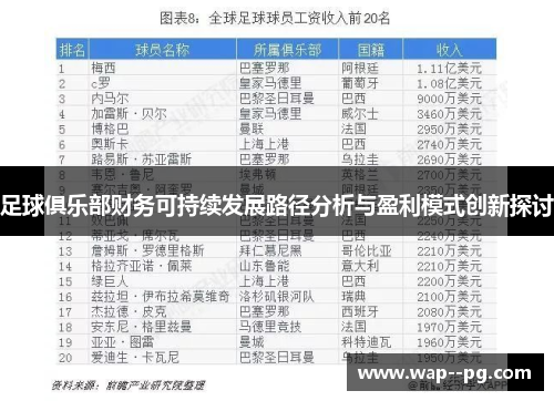 足球俱乐部财务可持续发展路径分析与盈利模式创新探讨