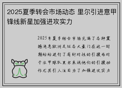 2025夏季转会市场动态 里尔引进意甲锋线新星加强进攻实力