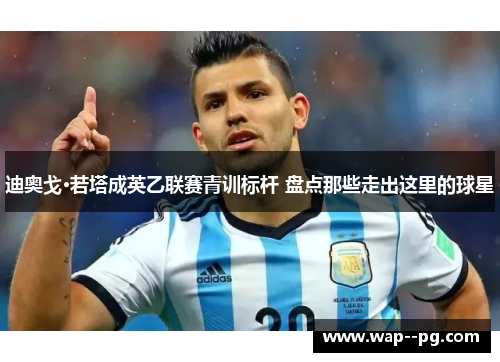 迪奥戈·若塔成英乙联赛青训标杆 盘点那些走出这里的球星