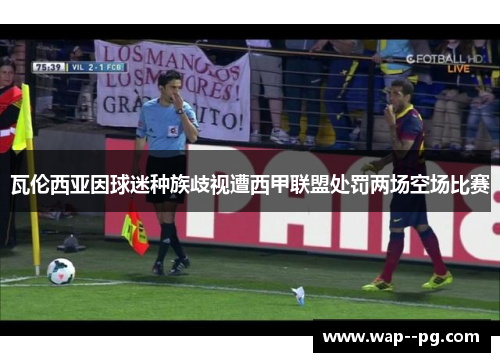 瓦伦西亚因球迷种族歧视遭西甲联盟处罚两场空场比赛